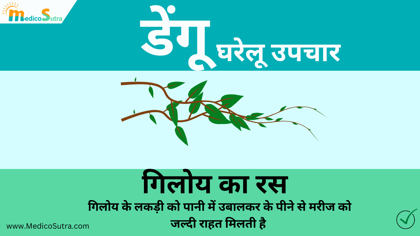 डेंगू से जल्दी ठीक होना है तो, खाओ 10 चीजें मिलेगा तुरन्त आराम : डेंगू का घर में इलाज » MedicoSutra डेंगू का घरेलू उपचार
