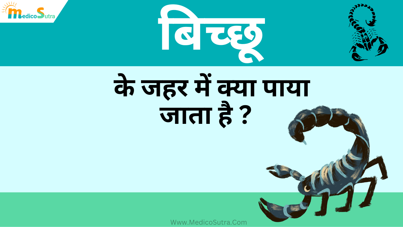 बिच्छू काटने की दवा में देरी है; तो 13 चमत्कारी घरेलु उपाय बिच्छू के जहर को तुरंत कम करेगा, Scorpion Sting Remedies » MedicoSutra बिच्छू काटने की दवा और घरेलु उपाय