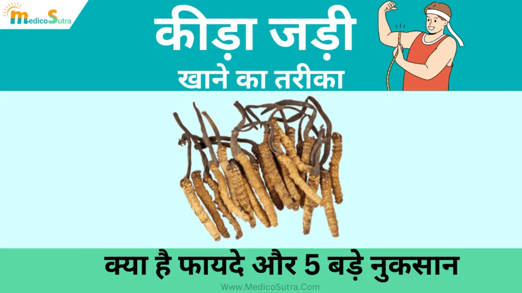 कीड़ा जड़ी खाने का तरीका; क्या है फायदे और 5 बड़े नुकसान, किसको नहीं खानी चाहिए » MedicoSutra कीड़ा जड़ी खाने का तरीका