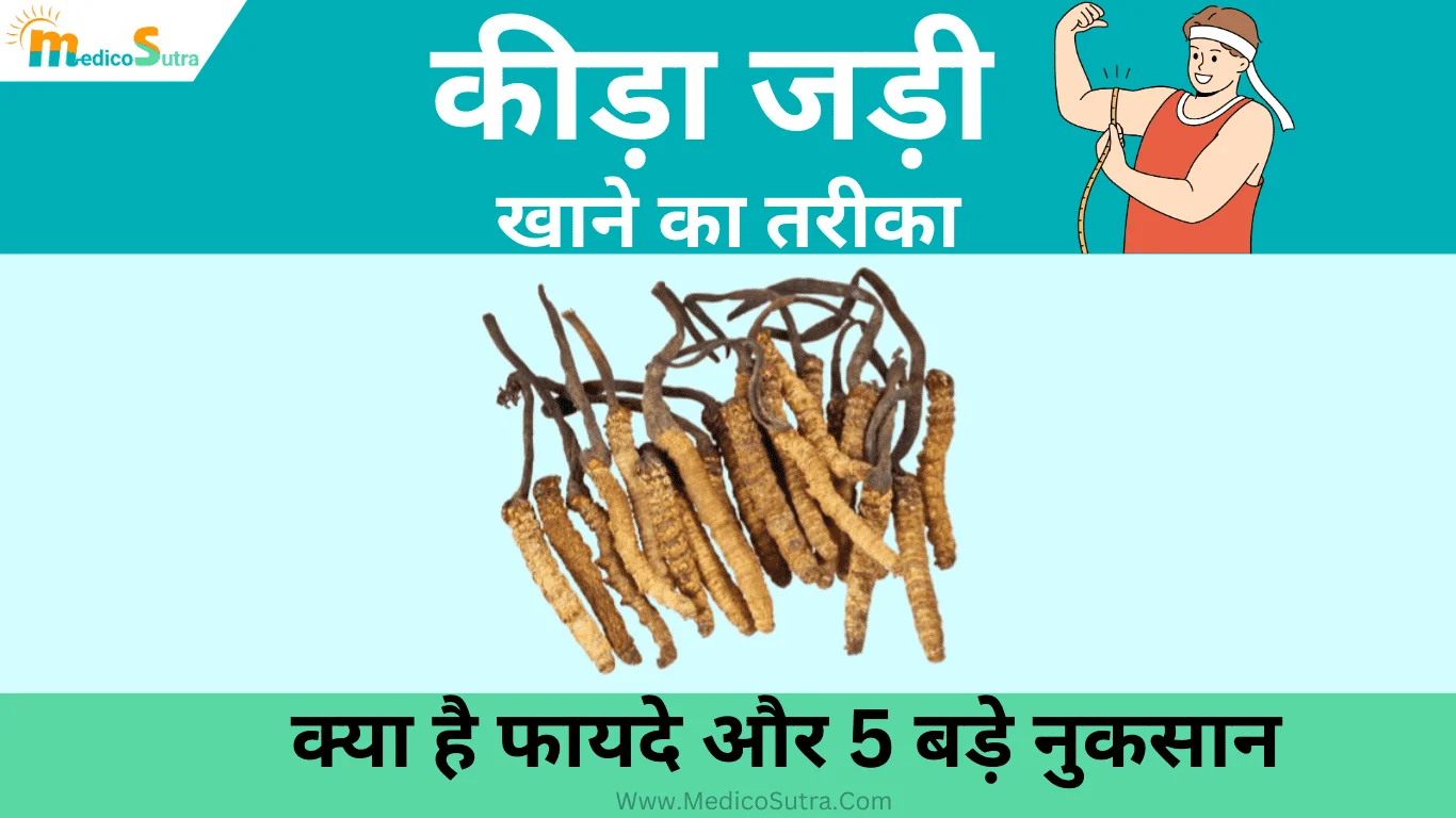 कीड़ा जड़ी खाने का तरीका