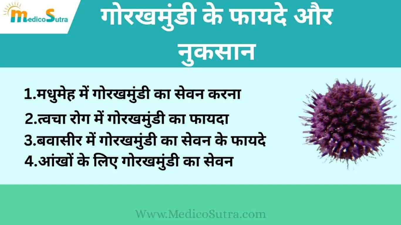 गोरखमुंडी के फायदे और नुकसान