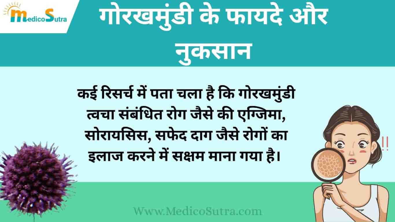 गोरखमुंडी के फायदे और नुकसान;1 गलती पड़ सकती है भारी; जाने सेवन के सही तरीके » MedicoSutra गोरखमुंडी के फायदे और नुकसान