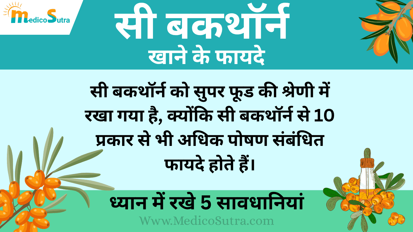 सी बकथाॅर्न खाने के फायदे; ध्यान में रखे 5 सावधानियां, नुकसान से बचें जाने इस्तेमाल करने का सही तरीका » MedicoSutra सी बकथाॅर्न खाने के फायदे, सी बकथाॅर्न खाने के फायदे; ध्यान में रखे 5 सावधानियां, नुकसान से बचें जाने इस्तेमाल करने का सही तरीका