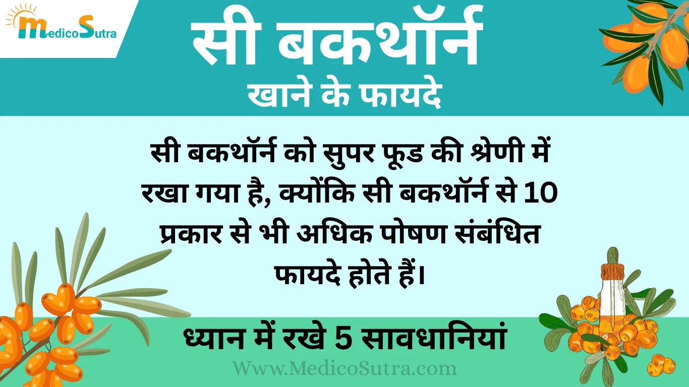 सी बकथाॅर्न खाने के फायदे, सी बकथाॅर्न खाने के फायदे; ध्यान में रखे 5 सावधानियां, नुकसान से बचें जाने इस्तेमाल करने का सही तरीका