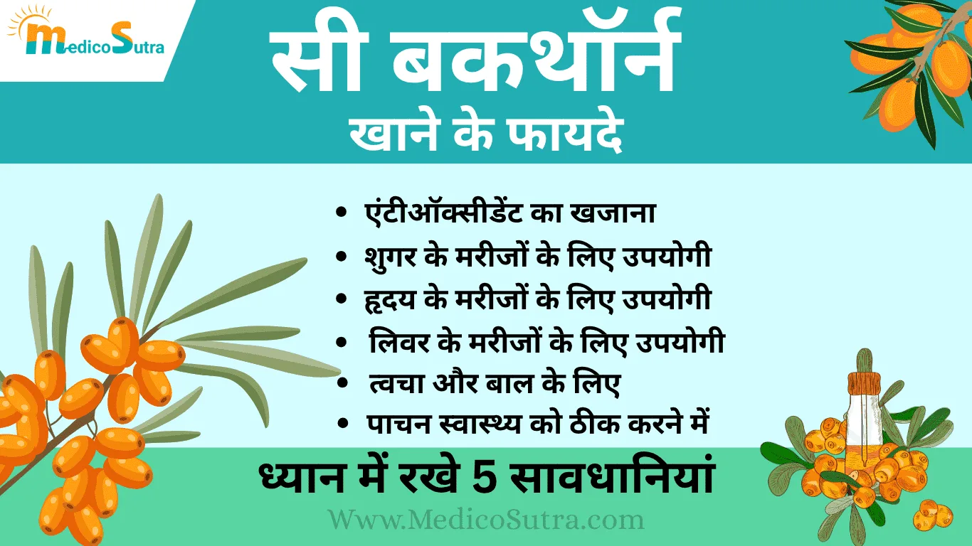 सी बकथाॅर्न खाने के फायदे, सी बकथाॅर्न खाने के फायदे; ध्यान में रखे 5 सावधानियां, नुकसान से बचें जाने इस्तेमाल करने का सही तरीका