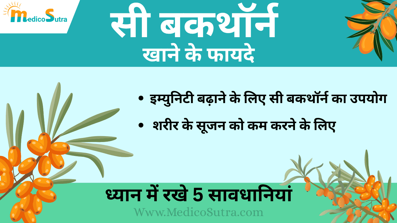 सी बकथाॅर्न खाने के फायदे; ध्यान में रखे 5 सावधानियां, नुकसान से बचें जाने इस्तेमाल करने का सही तरीका » MedicoSutra सी बकथाॅर्न खाने के फायदे, सी बकथाॅर्न खाने के फायदे; ध्यान में रखे 5 सावधानियां, नुकसान से बचें जाने इस्तेमाल करने का सही तरीका