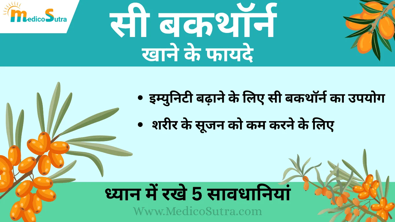 सी बकथाॅर्न खाने के फायदे, सी बकथाॅर्न खाने के फायदे; ध्यान में रखे 5 सावधानियां, नुकसान से बचें जाने इस्तेमाल करने का सही तरीका