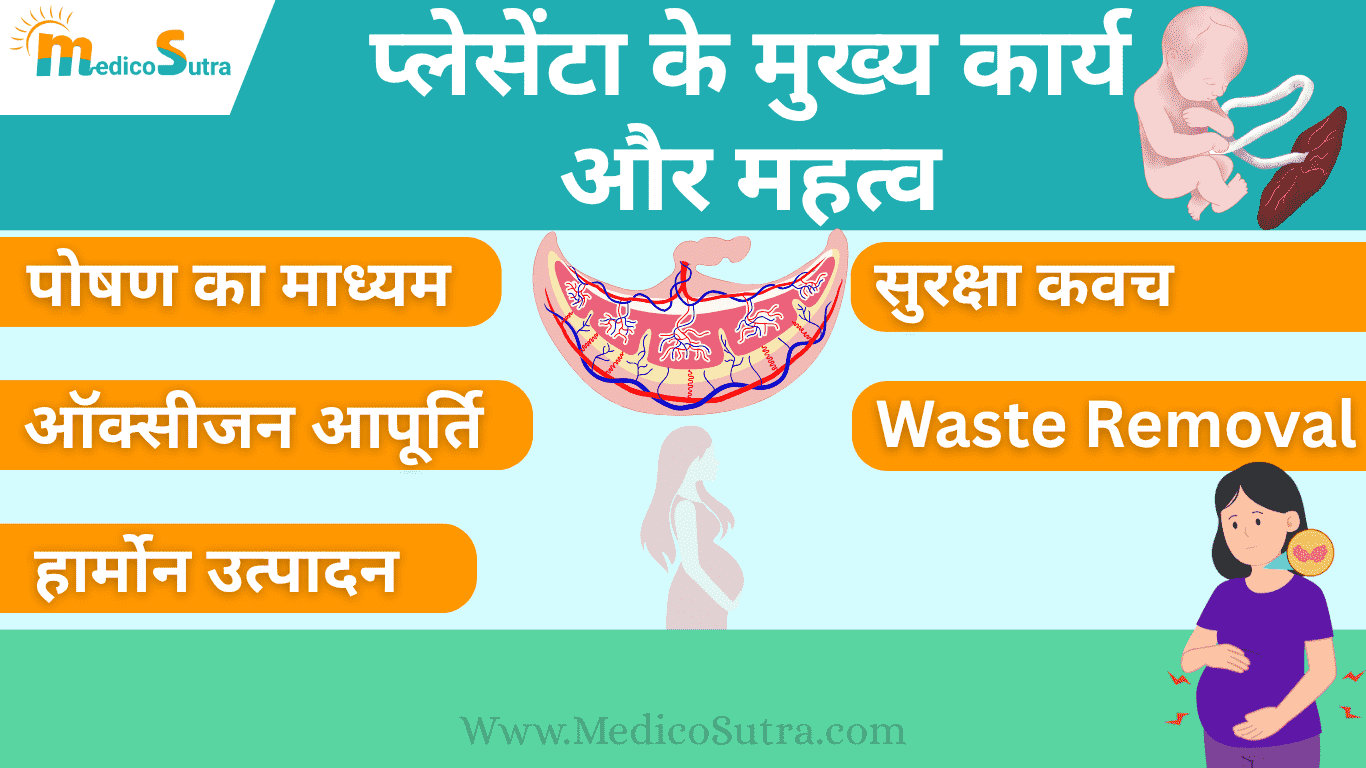 प्लेसेंटा की पोजीशन से जानें; गर्भ में लड़का है या लड़की